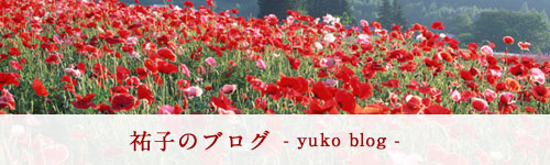 yuuko-blog-bnr3